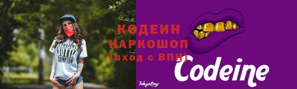 стафф Верхний Тагил